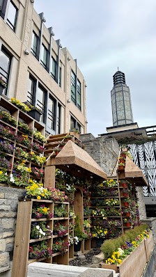 Uptown photo 2