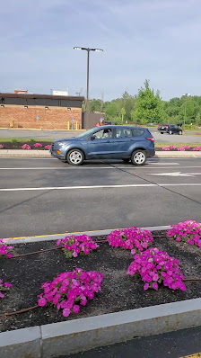 Apex Center photo 3