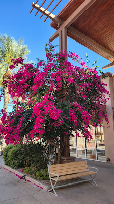 Tucson Premium Outlets photo 2