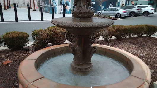 Town Center at St Lucie West photo 3