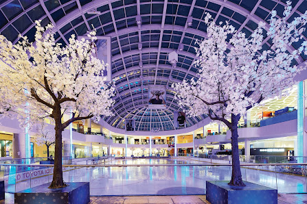 West Edmonton Mall photo 4