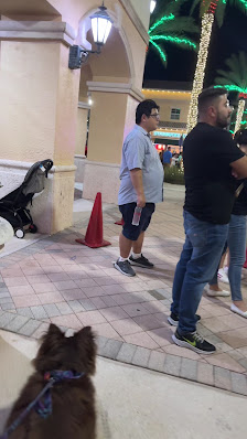 Town Center Market photo 3