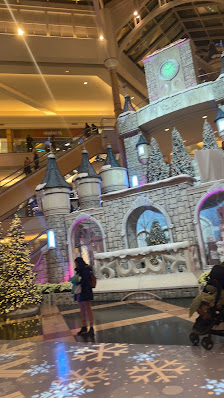 Troy Commons Shopping Center photo 3