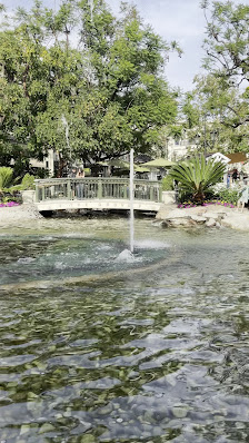 The Grove photo 2