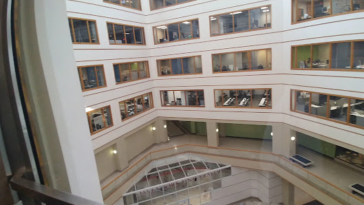 New Towne Center photo 3