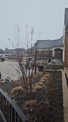 Neelsville Village Center photo 2