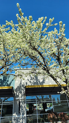 Penn Park Shopping Center photo 2