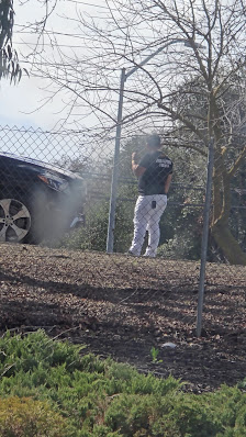 Elk Grove Village photo 3