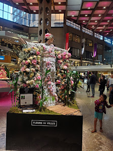 Complexe Desjardins photo 4