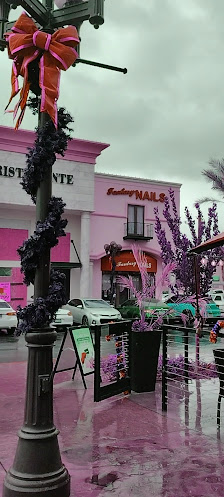 Boca Park photo 3