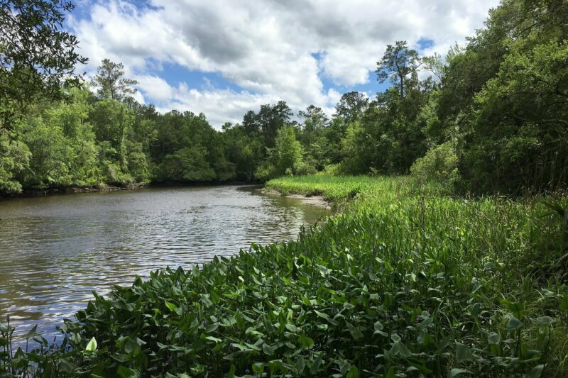 Dorchester Village in Summerville, SC
