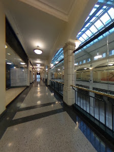 The Avenue photo 6