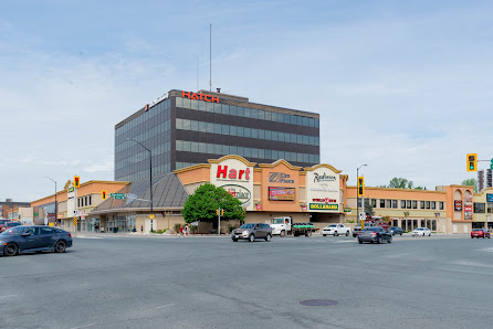 Elm Place photo 1