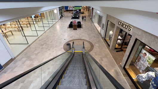 The Shops at Chestnut Hill photo 2