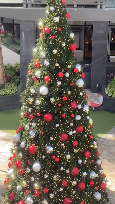 Ala Moana Center photo 3
