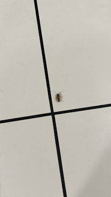 West Towne Mall photo 2