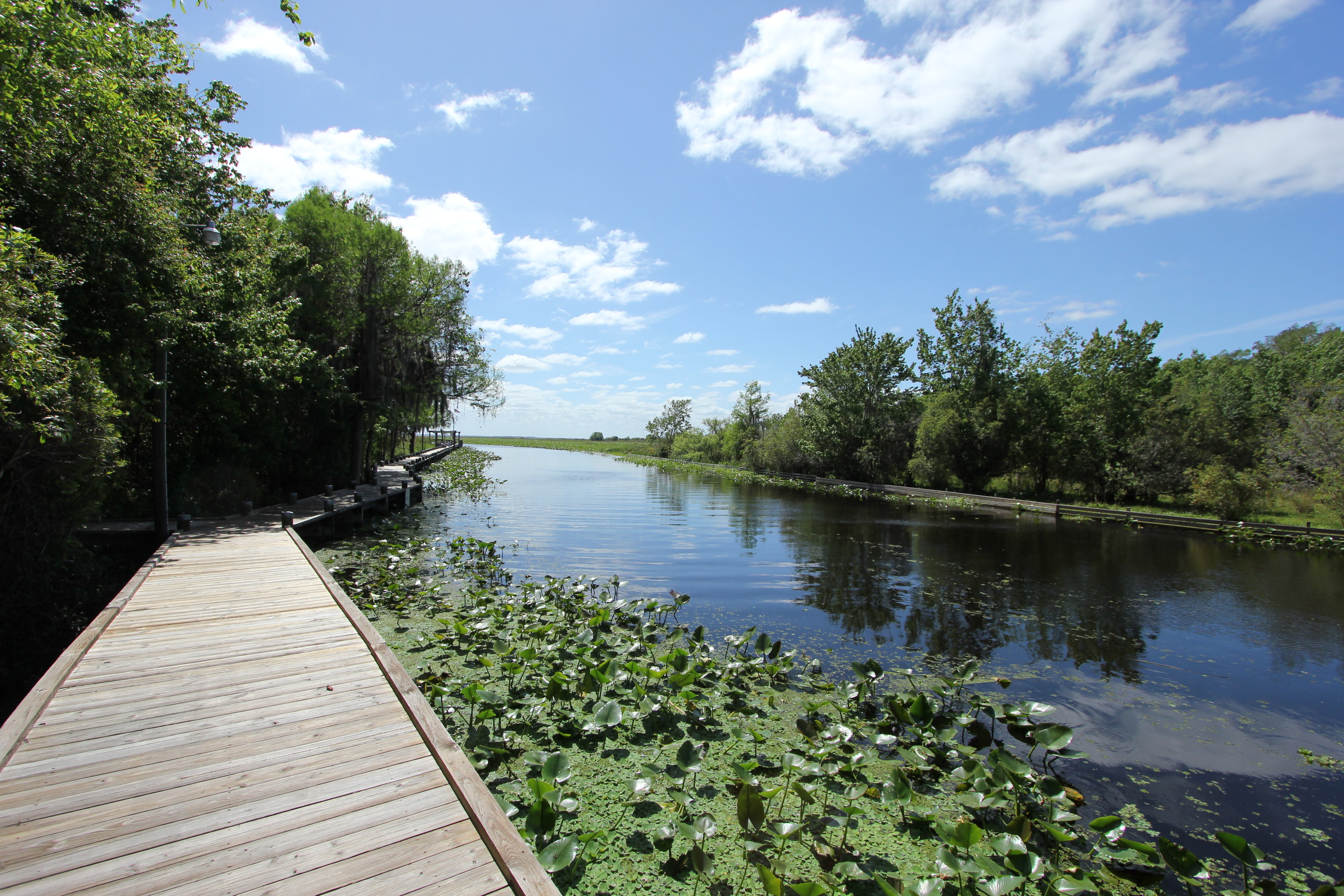 Lakeside Plaza in Avon Park, FL