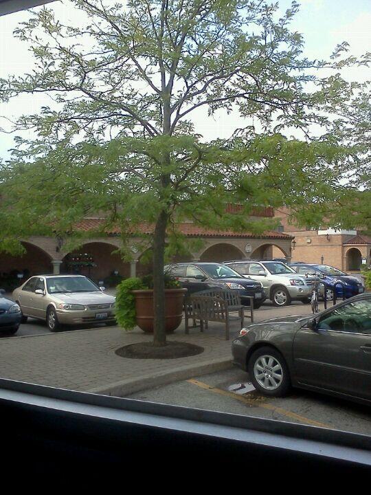 Plaza del Lago in Wilmette, IL
