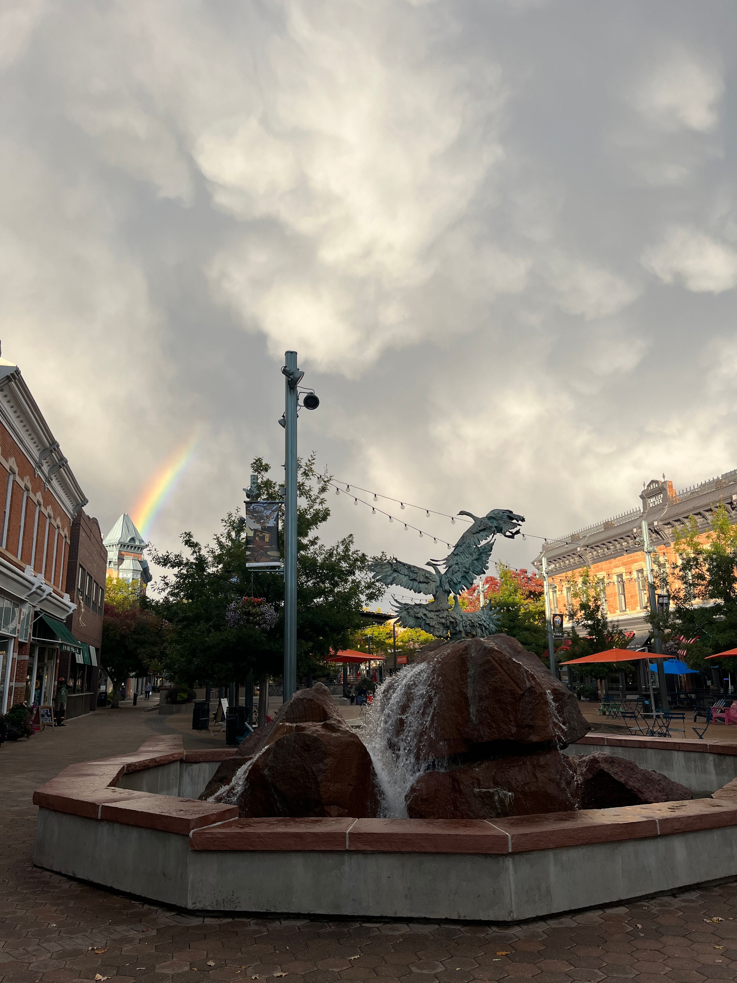 Raintree Village Shopping Center in Fort Collins, CO