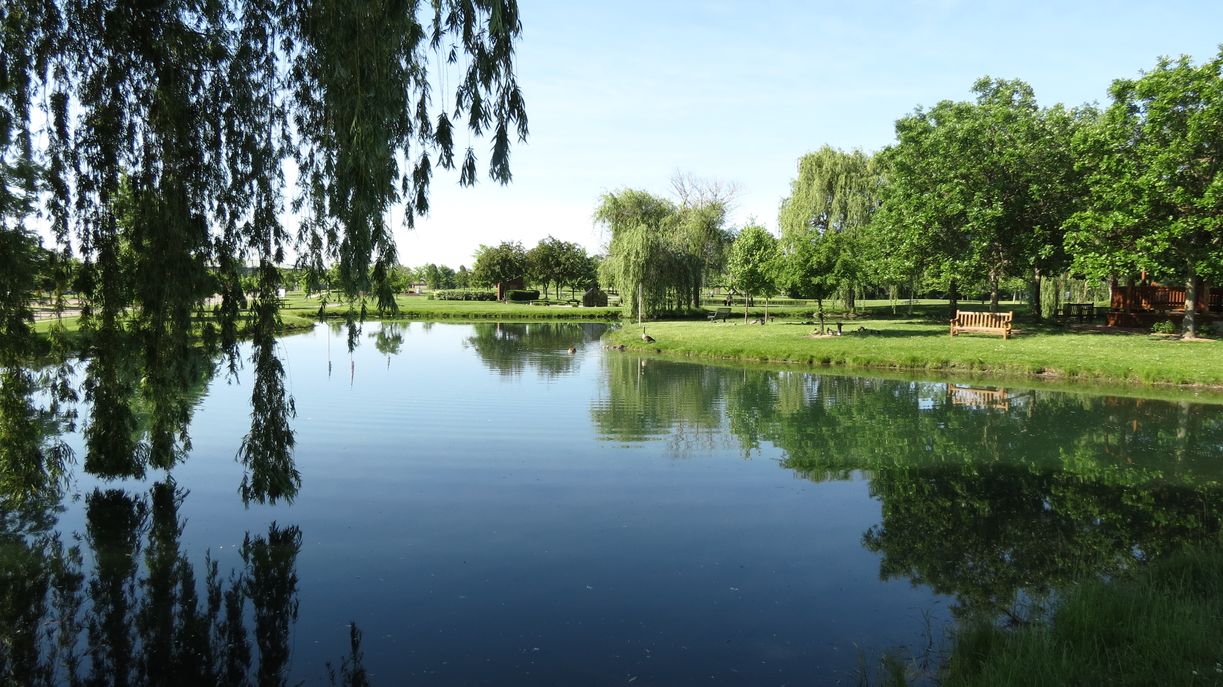 Sellicks Green in CANTON, MI