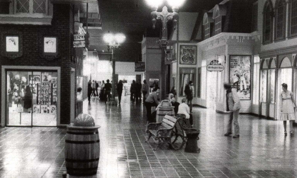 Shopping Mall Center in Chicago, IL